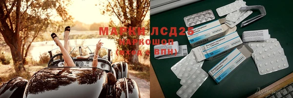 дмт Алзамай