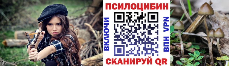 мега зеркало  Сухиничи  Псилоцибиновые грибы Cubensis 